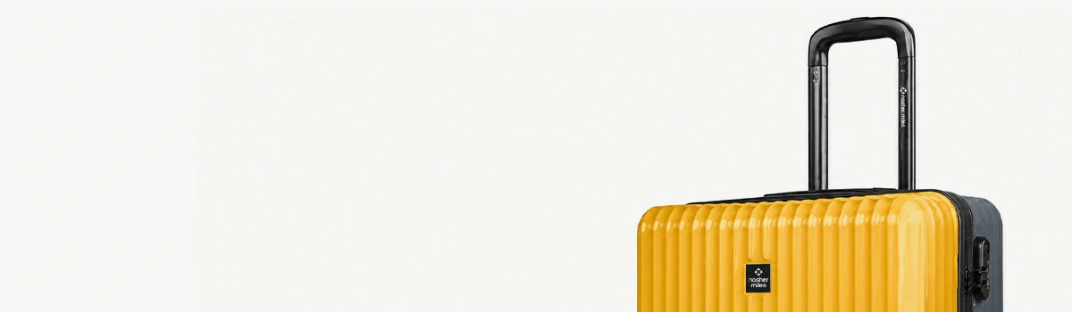 Aluminium Telescopic Handle