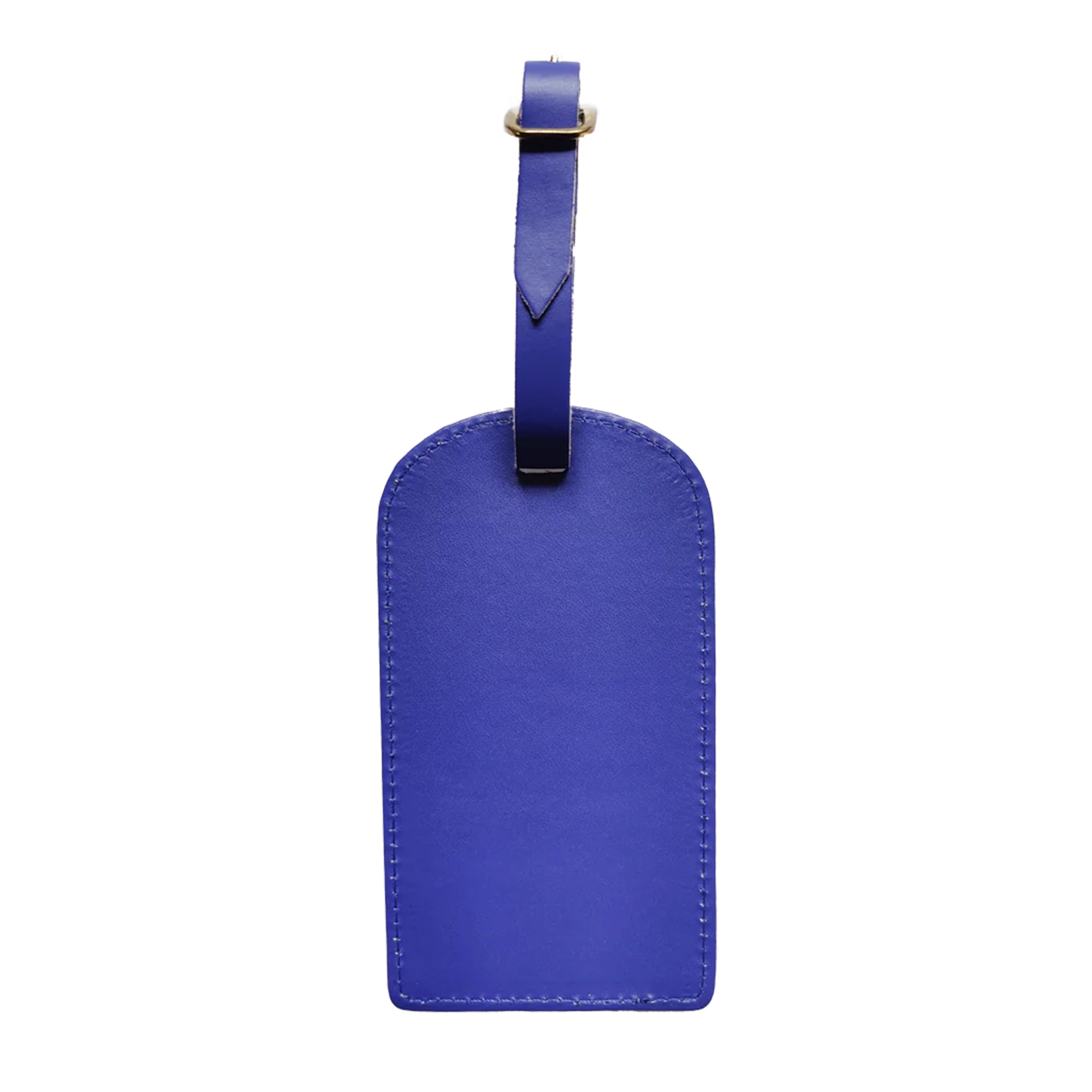 Blue Id Tag Blue Vinyl ID Tag Salty Dog - Translucent Vinyl With Sliding ID Panel ...